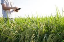 افزایش رسوخ فناوری در تولید محصولات کشاورزی