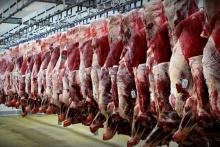 صفوف گوشت قرمز برچیده می‌شود