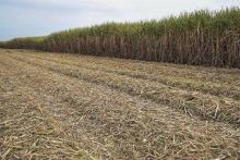 تحول چشمگیر ثبت درخواست‌های موفق در سامانه پنجره واحد مدیریت زمین