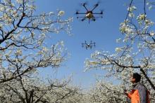 جهان برای مقابله با ویروس کرونا از چه فناوری&zwnj;هایی کمک گرفته است؟