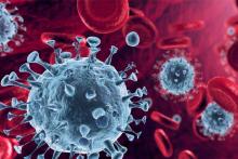 ایران و اندونزی تجریبات خود در مقابله با ویروس کرونا را به اشتراک گذاشتند