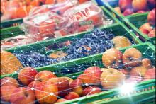 بلاک‌چین و اینترنت اشیاء، کلید امنیت غذایی جهان