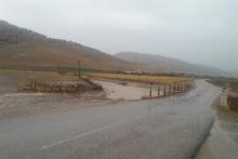 حال عمومی نوزاد رهاشده در رودخانه‌‌ی اسلام‌آباد غرب مناسب است