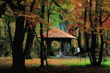 سامانه اعلام هشدار آتش سوزی در پارک ملی گلستان راه‌اندازی شد