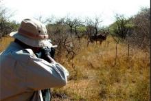  پلیس فتا: انتشار تصاویر شکار غیرمجاز در فضای مجازی جرم است