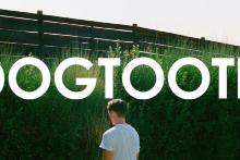 یک زندان سبز با ساکنینی غرق رفاه