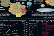 علاج همیشگی سرطان با تقویت سیستم ایمنی بدن 