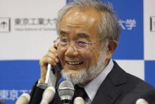 یوشینوری اوسومی از ژاپن برنده جایزه پزشکی نوبل شد