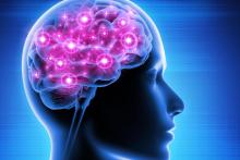 رابط رایانه&zwnj;ای