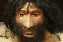 کشف جدید در غار باستانی؛ انسان های نئاندرتال آدمخوار بودند