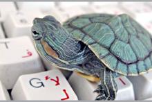 راهکار رهایی از سرعت لاک‌پشتی اینترنت در ایران 