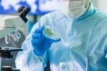 ربات‌هایی که از سلول‌های خودتان ساخته می‌شوند تا بدنتان را ترمیم کنند