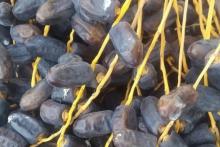 تامین ویتامین و مواد معدنی بدن با خرما