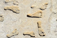 پژوهش جدید: بشر بیش از 20 هزار سال پیش پا به قاره آمریکا گذاشته بود