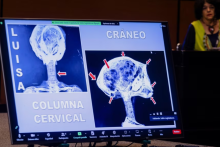 شواهد بالقوه از حیات غیرانسانی یا فرازمینی بر روی زمین!