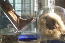 درباره &laquo;مردان نمکی&raquo; باستانی ایران چه می&zwnj;دانیم؟