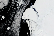 انتشار تصاویر ماهواره&zwnj;ای از حرکت بزرگترین کوه یخ جهان