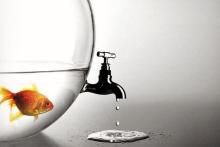 توجه ویژه‌ی شرکت مخابرات ایران به دو موضوع آب و حمایت از کالای ایرانی 