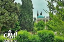 اولین سفر کاربران در سامانه تاکسی آنلاین "ابیش" رایگان خواهد بود