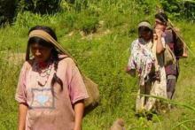 راز زندگی افراد قبیله‌ای که سالم‌ترین قلب‌های دنیا را دارند