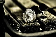 زن خائن با مرد همسایه رو هم ریخت/ سعید با زنش مشکل داشت