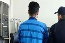 تجاوز به دختر شهرستانی در خانه شیطان تهرانی!