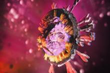 آیا ویروس کرونا خطرناک‌تر شده است؟