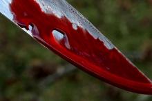 ماجرای ربودن و حبس یکساله دختر ۱۴ ساله/ آدم ربا هنگام فرار از مرز دستگیر شد