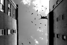 خودکشی دختر 15 ساله تهرانی از ترس انتشار فیلم خصوصی&zwnj;اش!