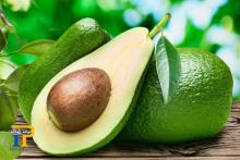 اگر هر روز یک عدد آووکادو بخورید، چه اتفاقی در بدن شما می افتد