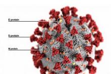 درباره سویه جدید ویروس کرونا «اومیکرون» چه می‌دانیم؟