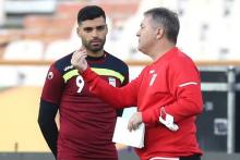 طارمی، اسکوچیچ را "فالو" کرد