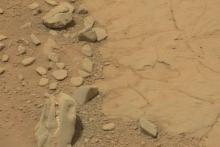 کشف عجیب اسکلت یک دایناسور در مریخ