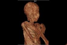 حفظ جنین در بدن زن مومیایی دو هزار ساله