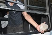 زامبی‌های شهر