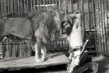 اولین قربانی باغ وحش در تهران چه کسی بود؟