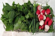 راز تازه نگه داشتن سبزی خوردن برای مدت طولانی