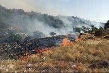 عاملان آتش&zwnj;سوزی کوه خائیز دستگیر شدند/ ۴۰ هکتار جنگل و مرتع در آتش سوخت