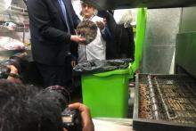 گوشت یخی در فست‌فود لاکچری برج میلاد/سالاد با کلم نشسته