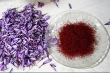 غذای 9 میلیون نفر در ایران دور ریخته می شود/قیمت زعفران ۱۲.۷ میلیون