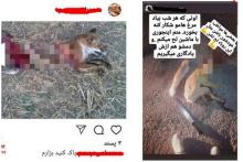 بازداشت یک مرد بخاطر انتشار عکس های وحشتناک