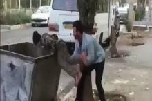 عاملان انتشار کلیپ آزار کودک زباله‌گرد تسلیم پلیس شدند