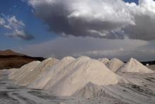 پاسخ معاون غذا و داروی دانشگاه علوم پزشکی شیراز به کلیپ منتشر شده در فضای مجازی