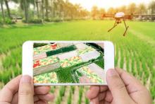 فناوری نوظهور به کمک هوشمند شدن کشاورزی در کشور می‌آید