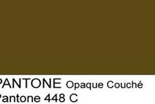 استفاده از زشت&zwnj;ترین رنگ جهان برای هدفی خاص