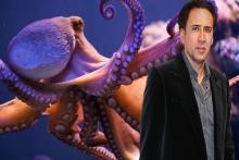 آنچه درباره جنیفرلوپز، تام کروز، مدونا و... نمی دانستید 