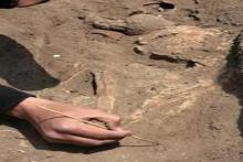 قدیمی ترین نان جهان با قدمت ۱۴ هزار سال کشف شد