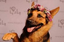 کارهای جالب یکی از خانم‌های پرطرفدار فضای مجازی!