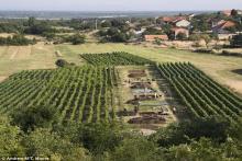 کشف بقایای پنیر ۷۲۰۰ ساله در کرواسی (+عکس)