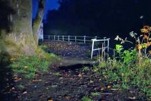 بریدن گوش و دم سگ پس از آزار شوم در پارک